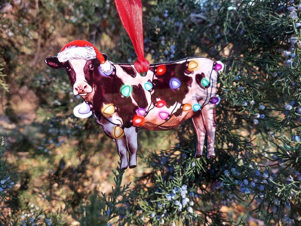 Home 4 Ornaments